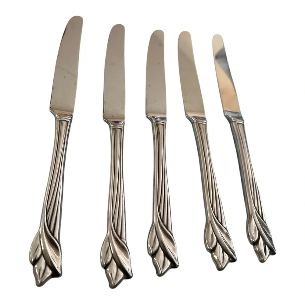 Oneida stainless steel